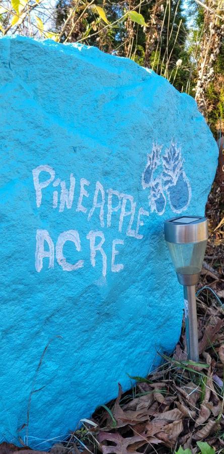Experience The Serenity Of Pineapple Acre Pocono Stroudsburg
