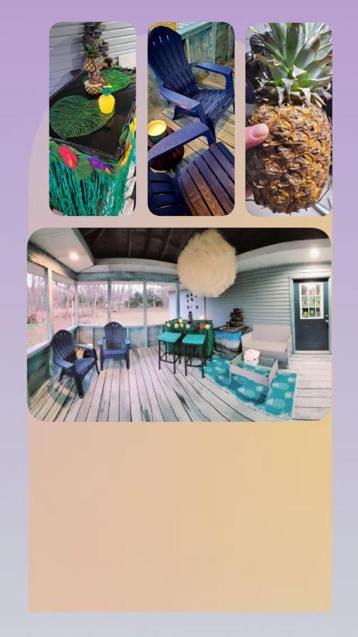 Experience The Serenity Of Pineapple Acre Pocono Holiday home *